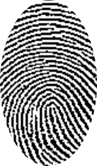 fingerprint